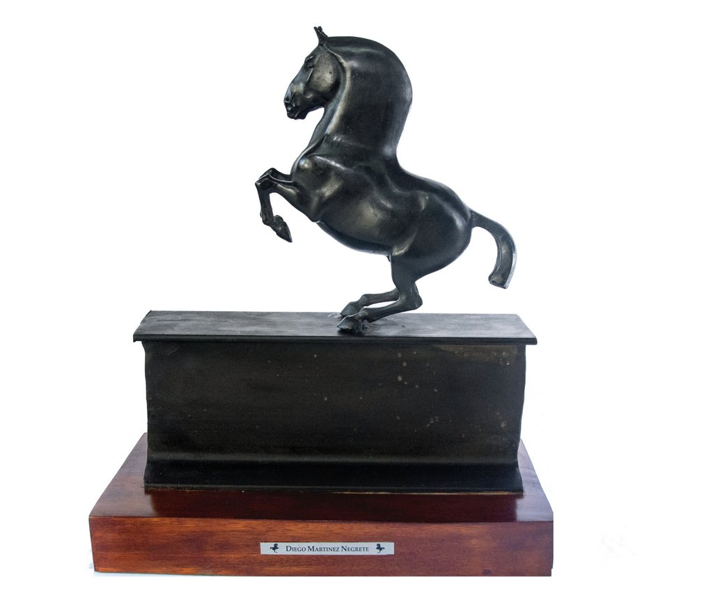 Levade Sobre La Viga