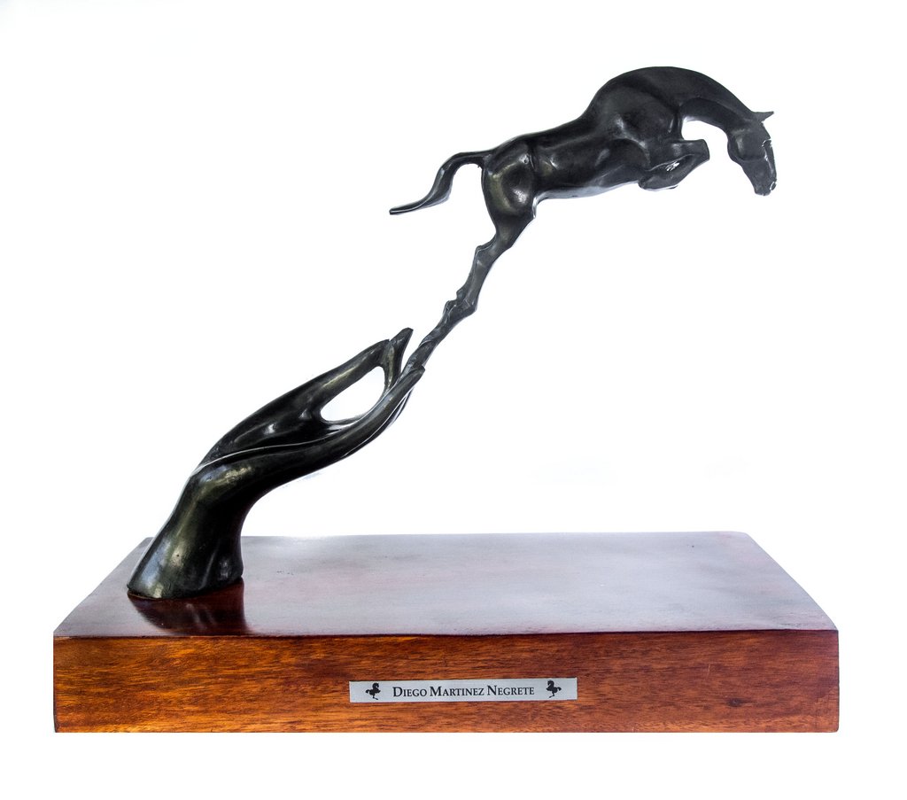 Salto En Libertad Y Mano