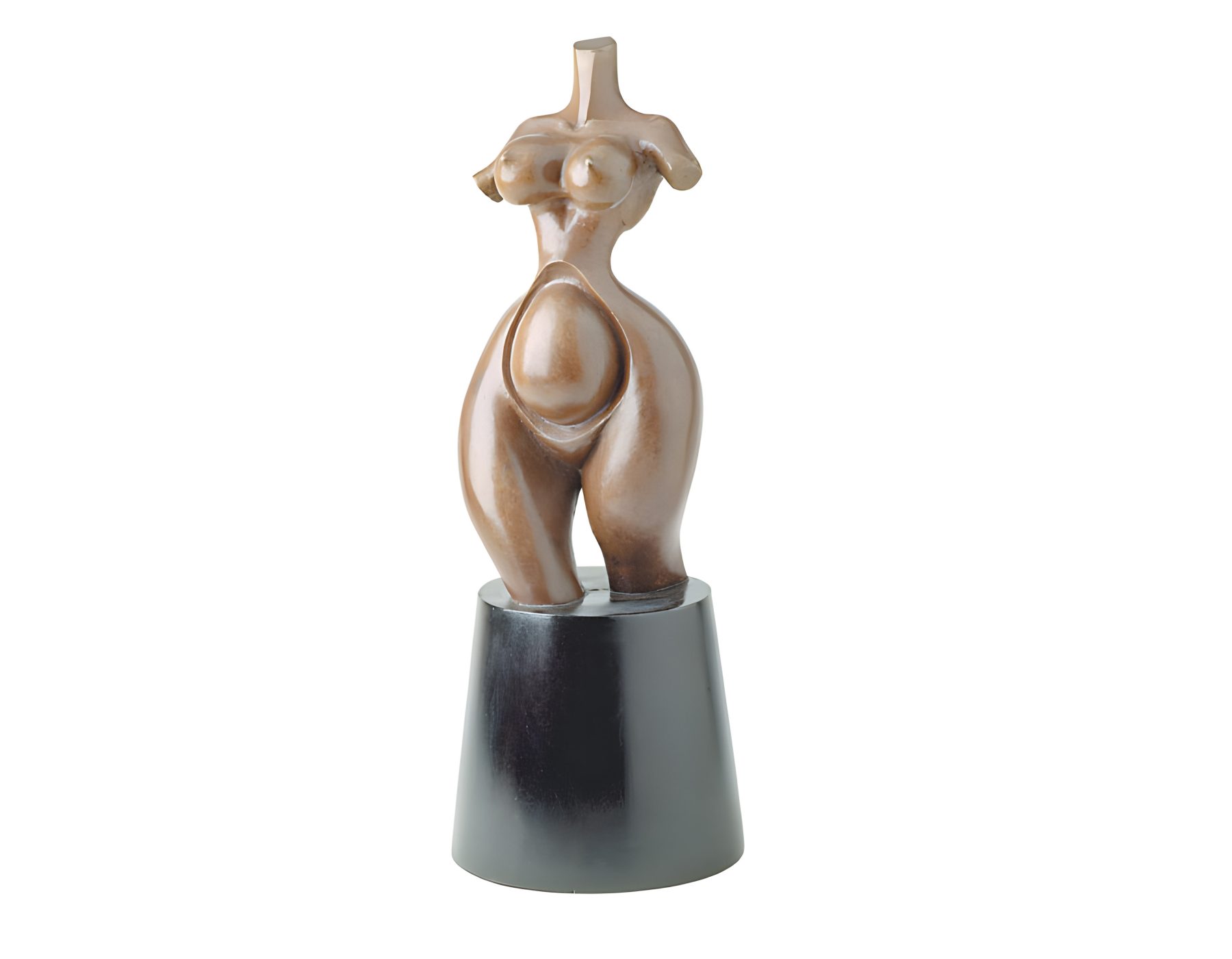 Torso Embarazado
